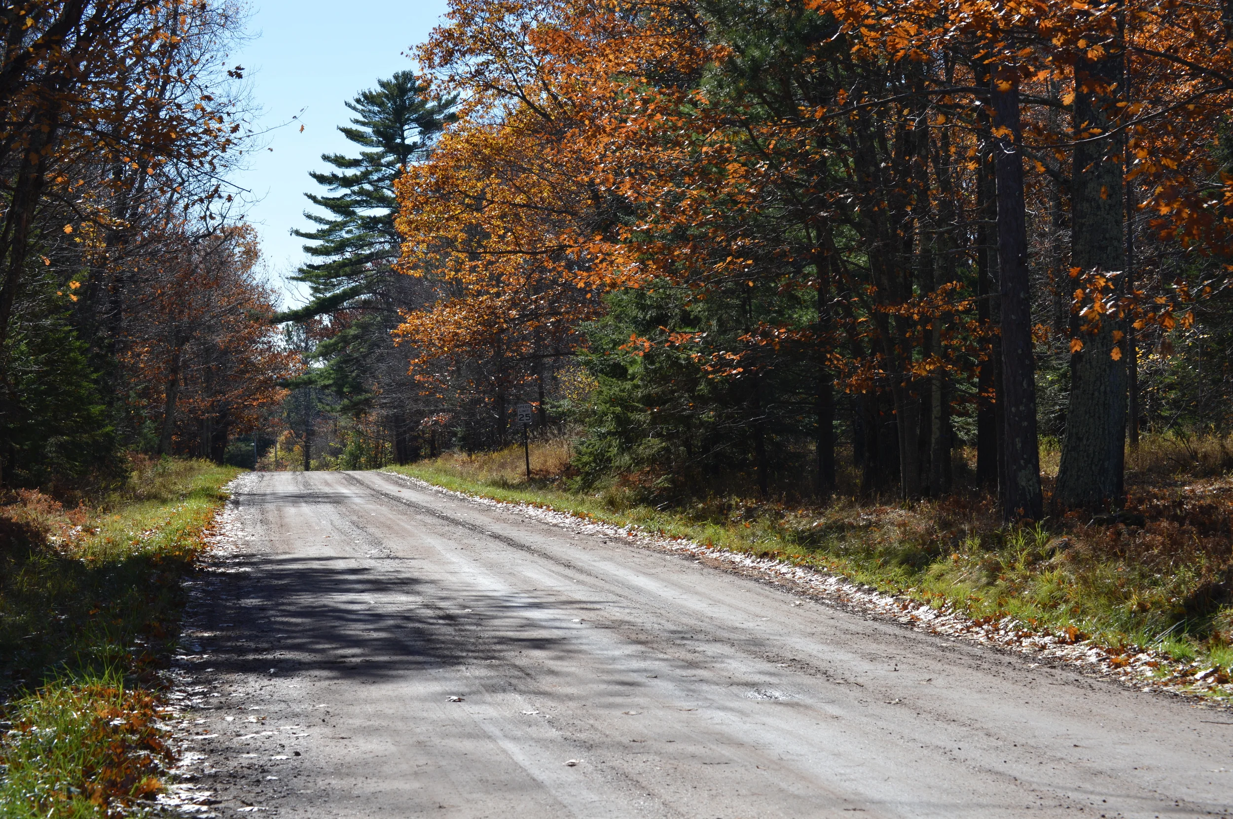 Gravel Road to Grant's Point