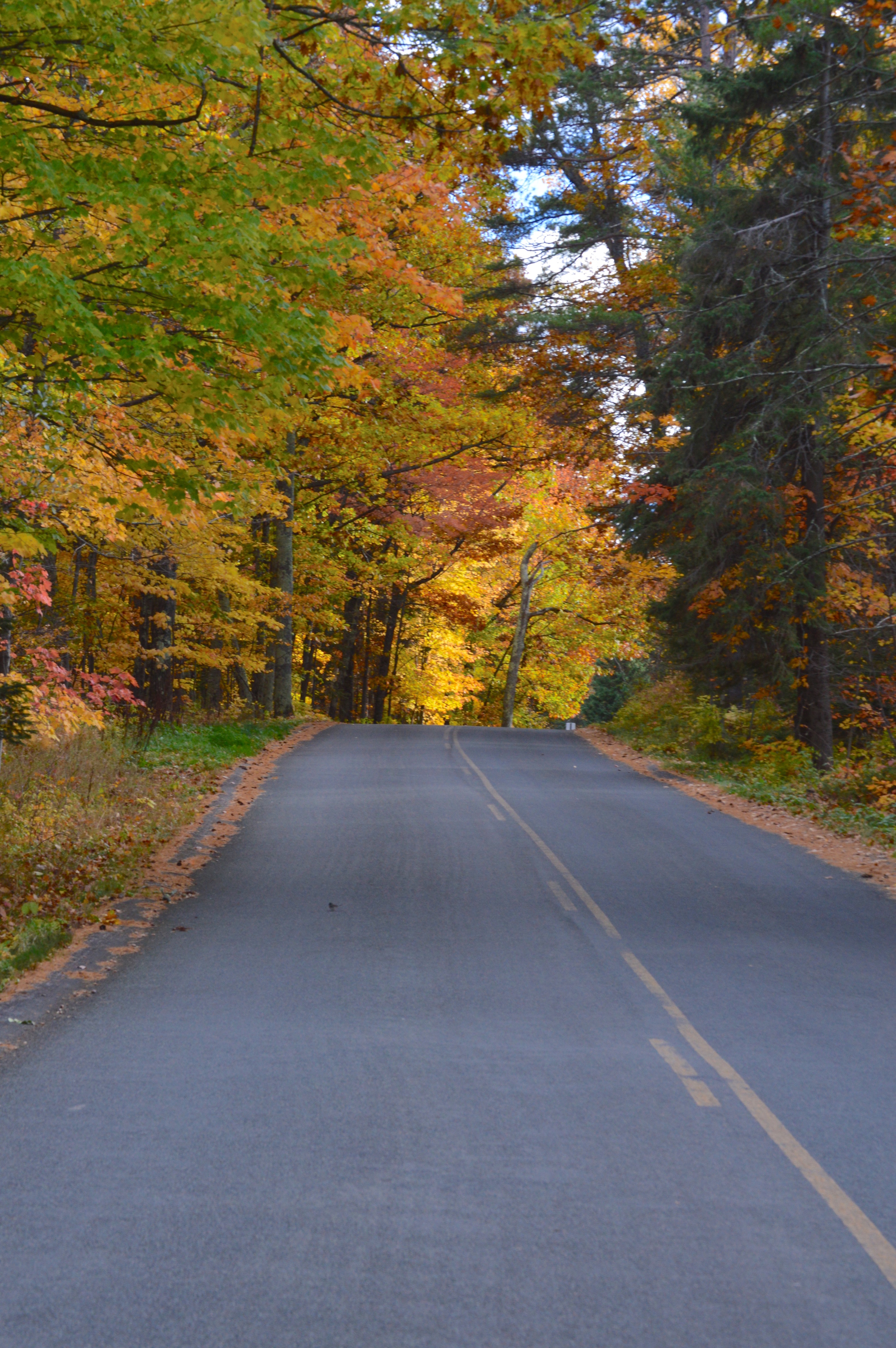 Old Fort Road Heading to Grant's Point