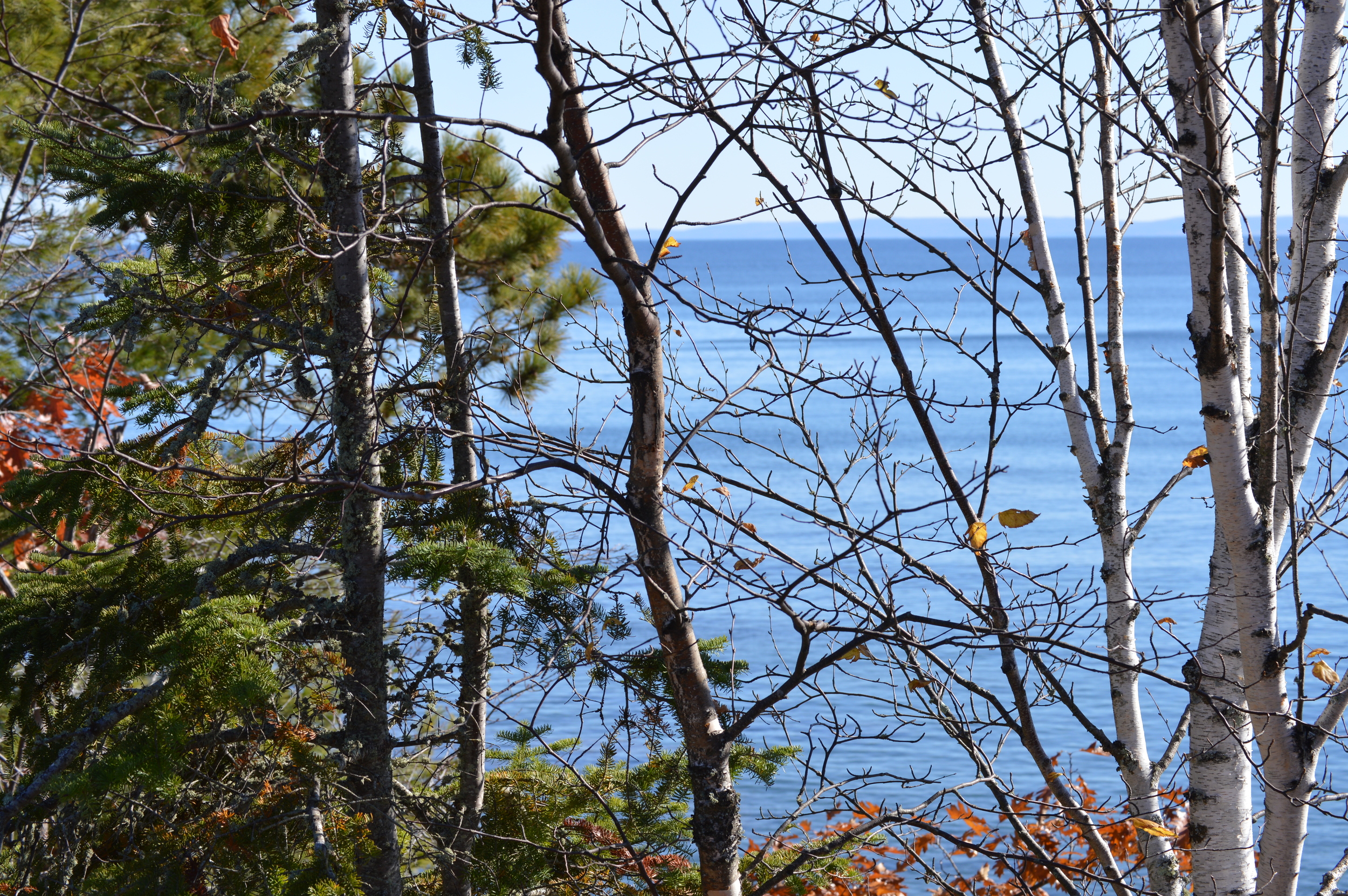 View From State Park Near Entrance