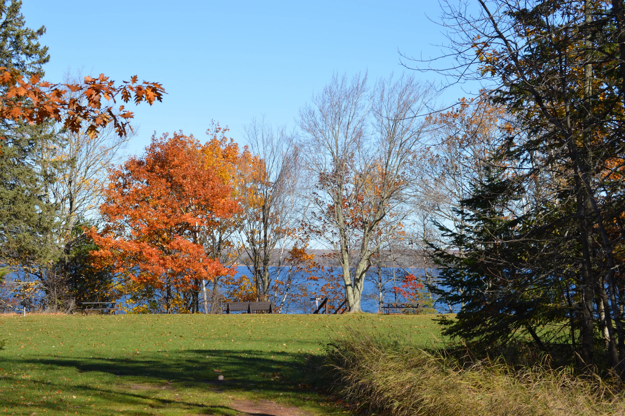 Picnic Clearing Looking Toward Beach