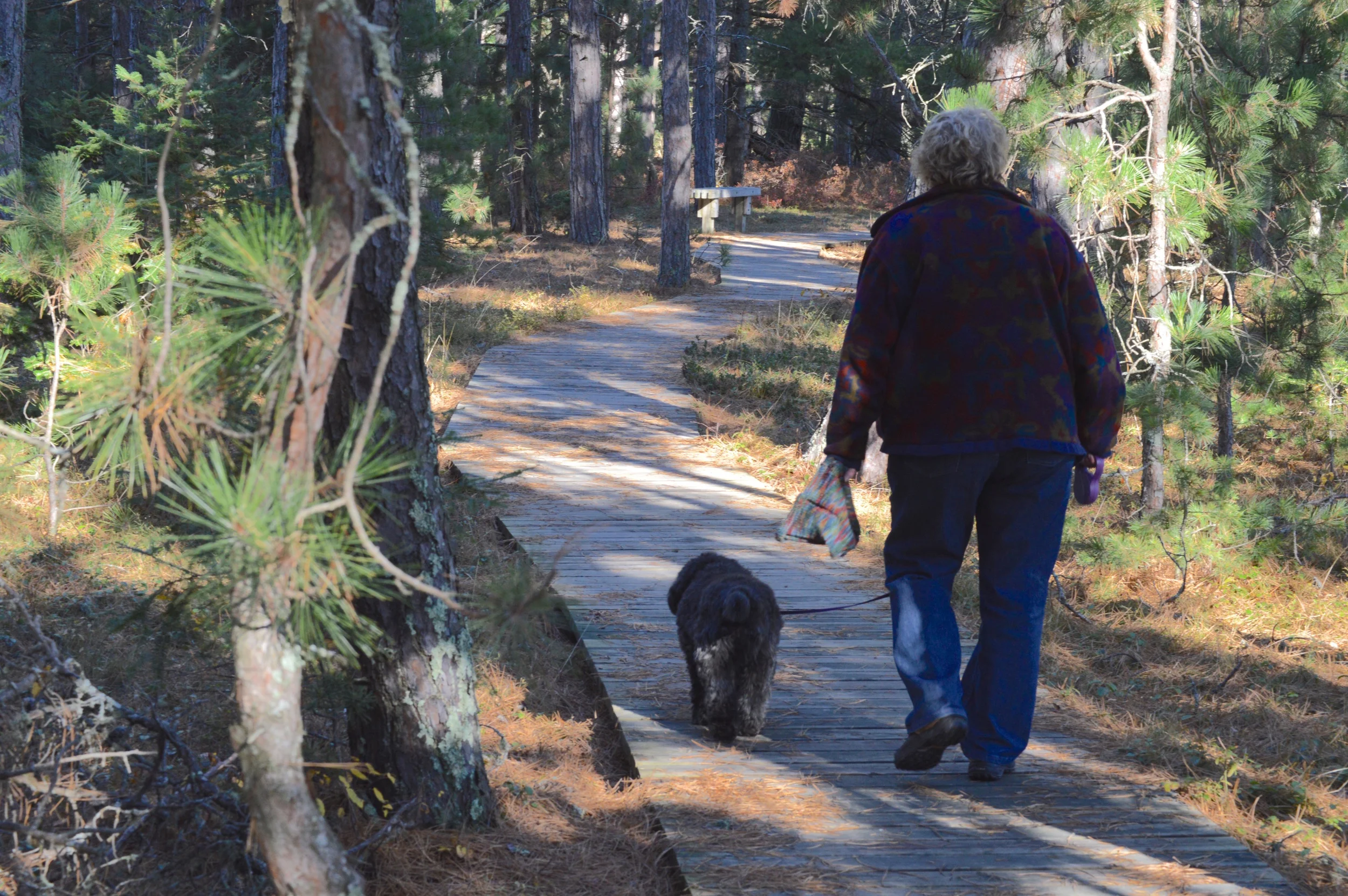 On Boardwalk Heading To Town Park End
