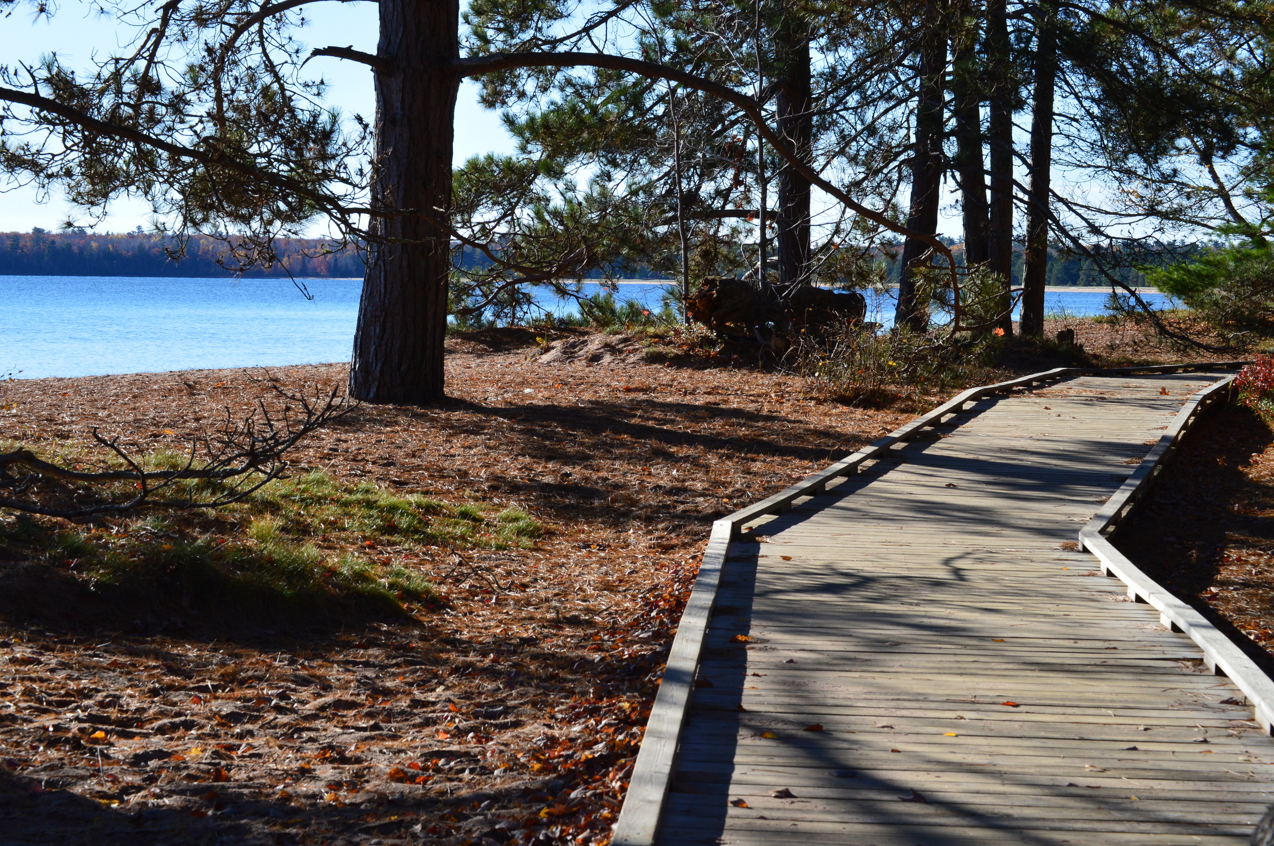 Boardwalk Above Beach