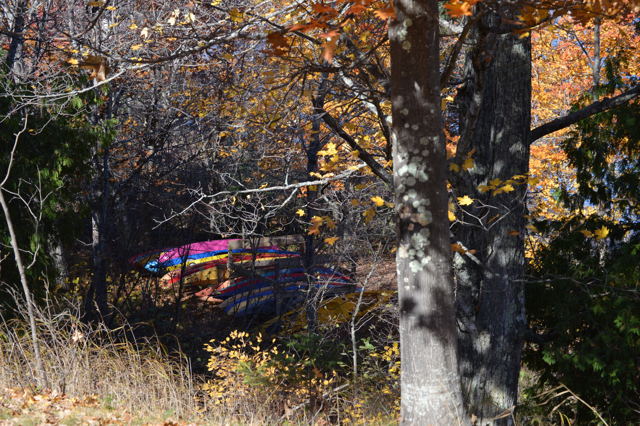 Kayak Storage at State Park