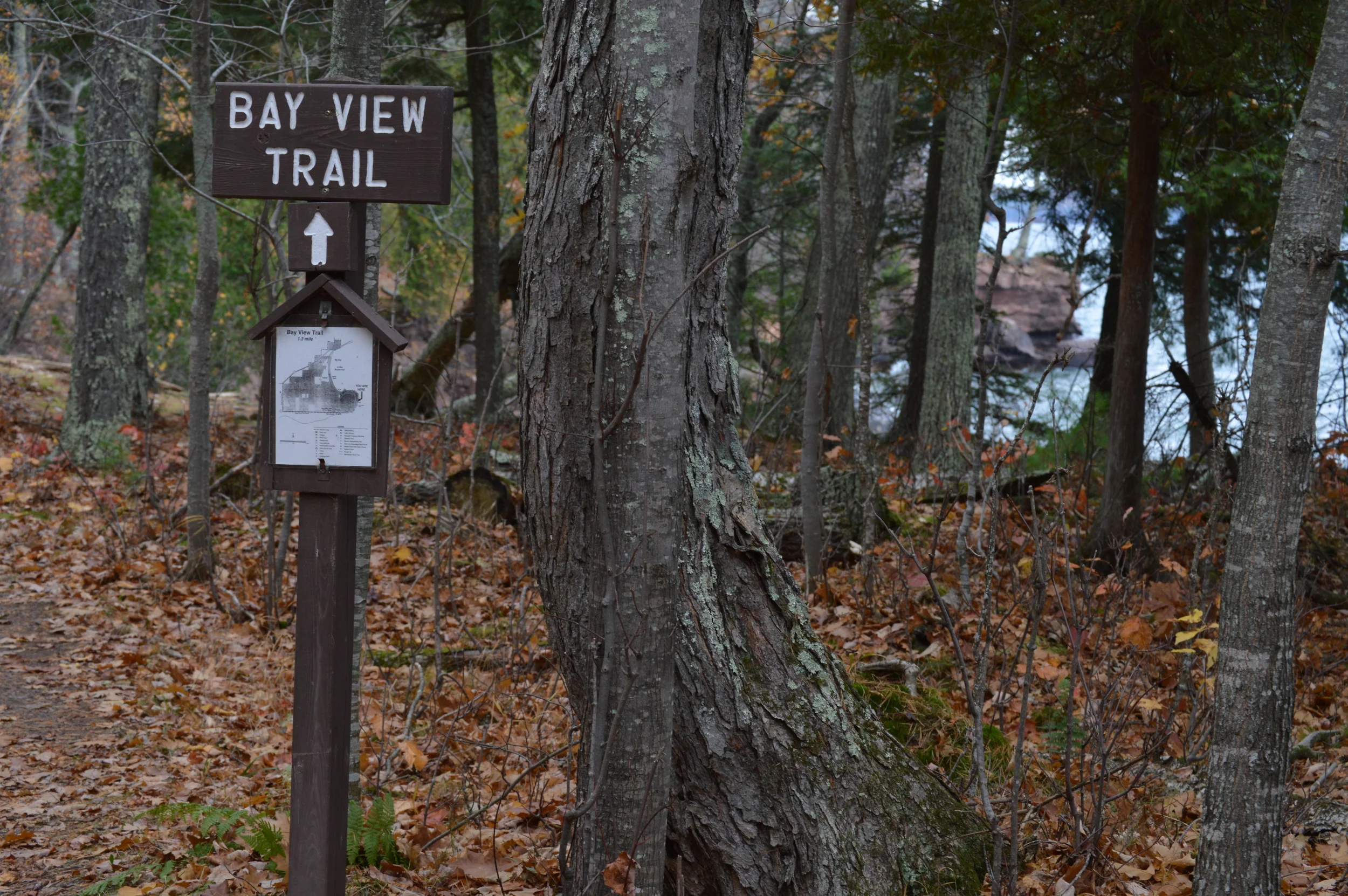 Trail on North Side of The Point