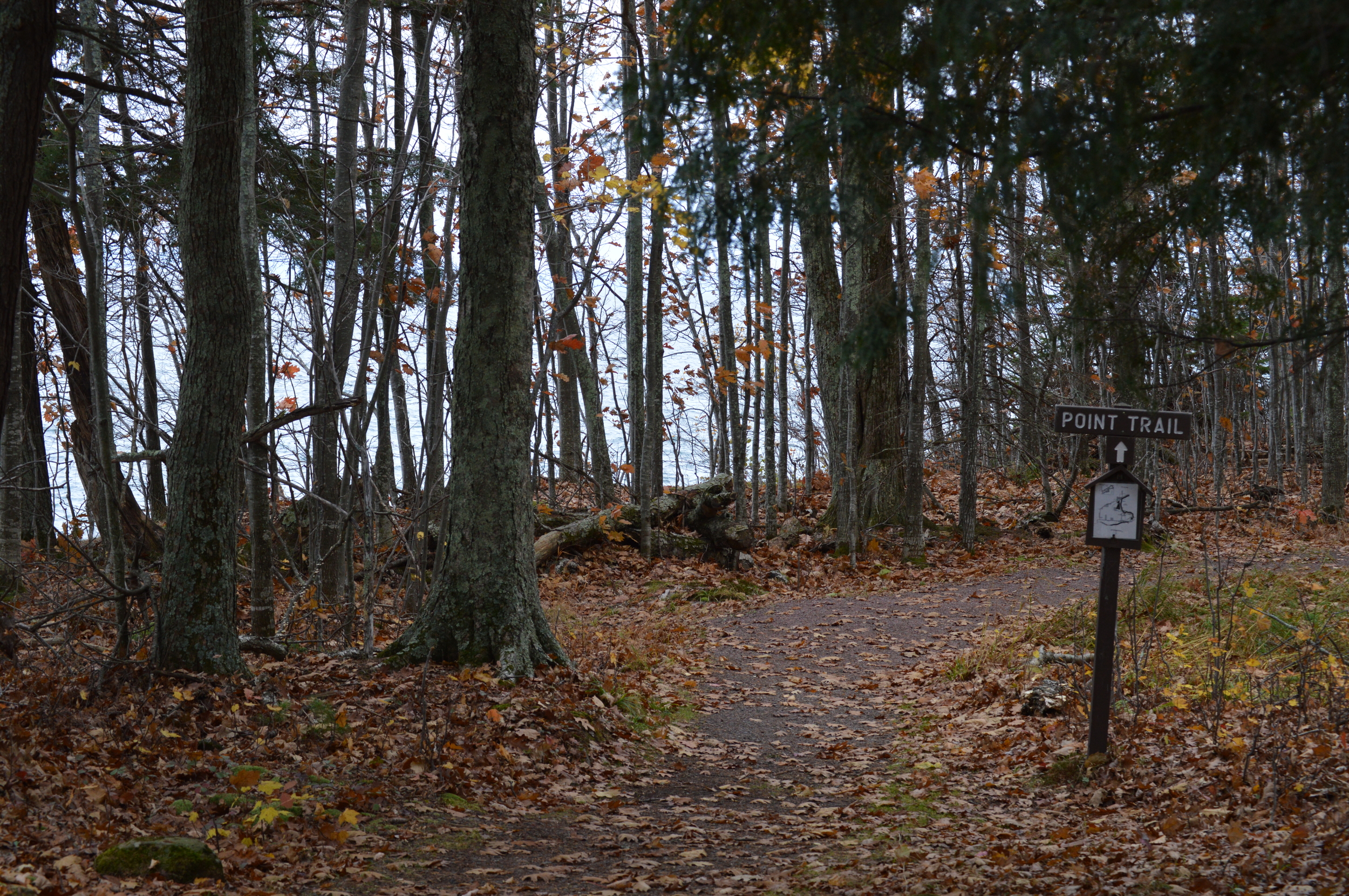 Trail on South Side of The Point