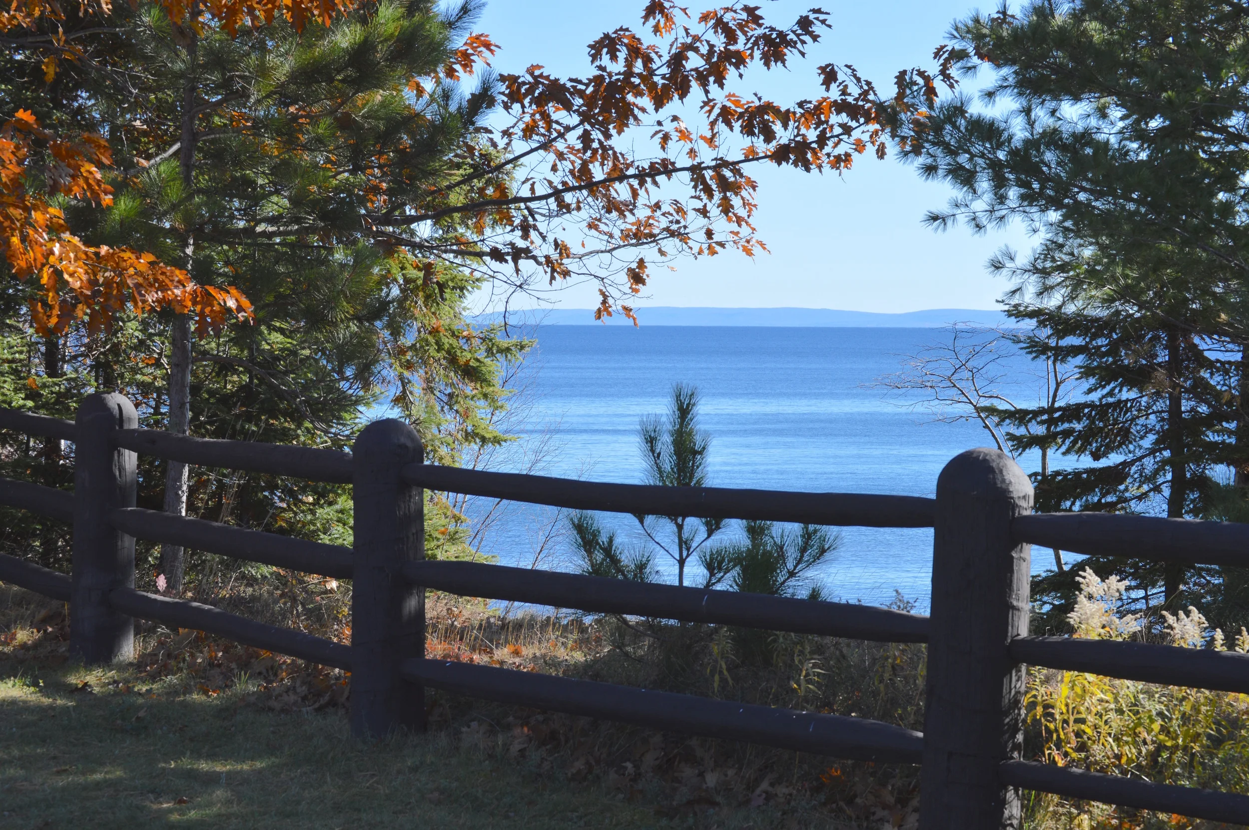 DSC_0476.jpg