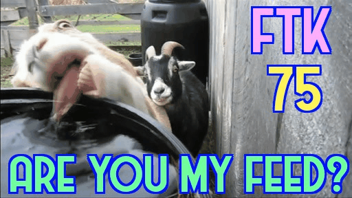 GifMeme21240610102017.gif