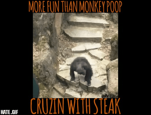 MonkeyPoop.gif