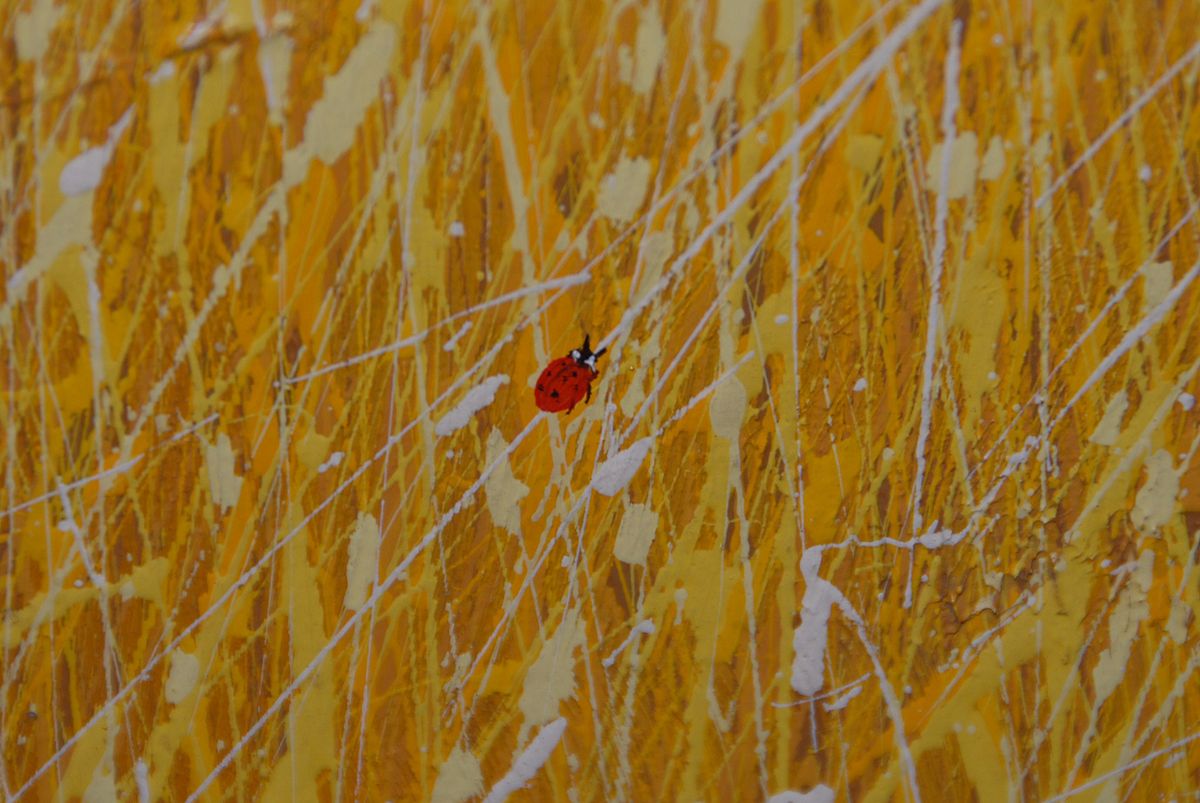 Photograph of ladybug from Duane Albert Armstrong's "Fields of Grass" series. {CC-by-SA-3.0}