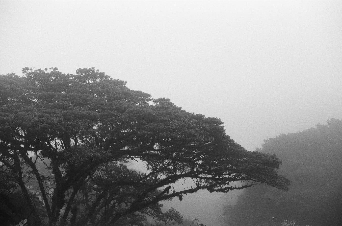 Monteverde, Costa Rica | October 2016