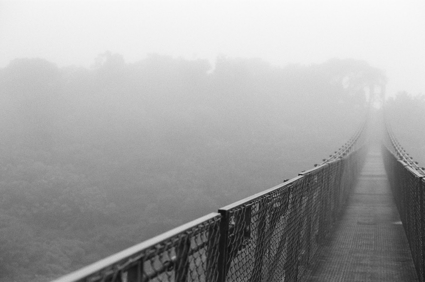 Monteverde, Costa Rica | October 2016