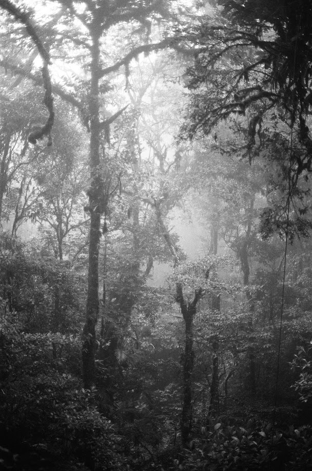 Monteverde, Costa Rica | October 2016