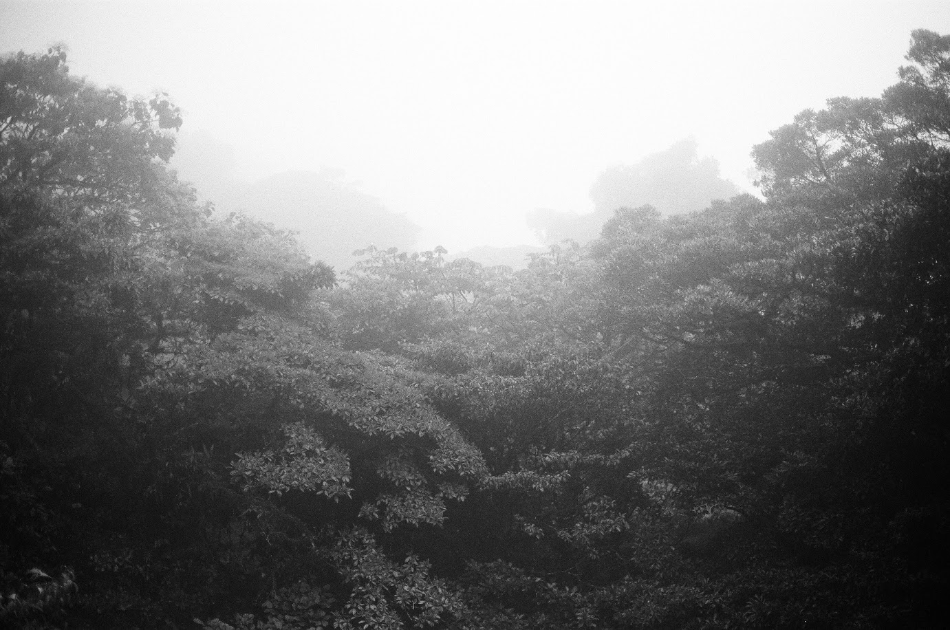 Monteverde, Costa Rica | October 2016