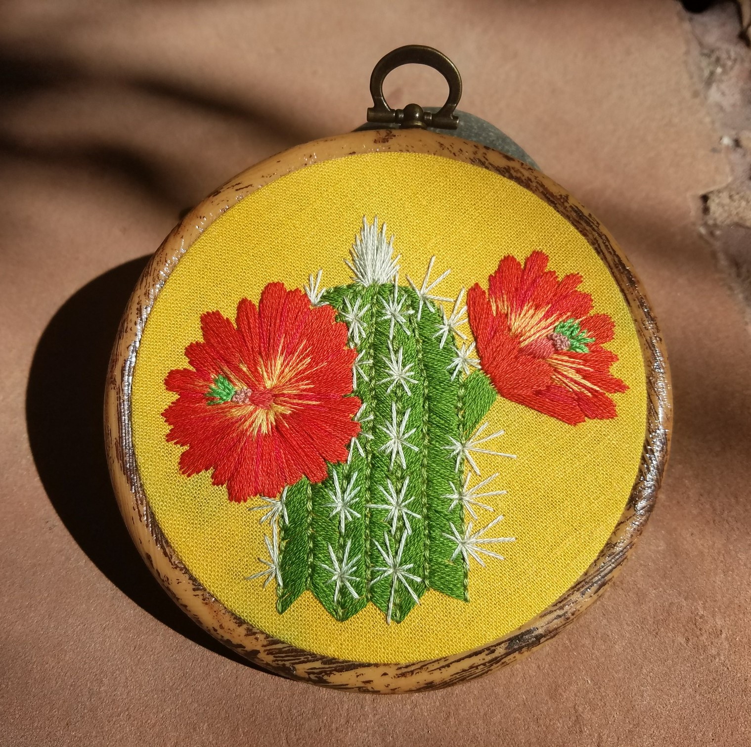 Claret cup cactus, Echinocereus coccineus