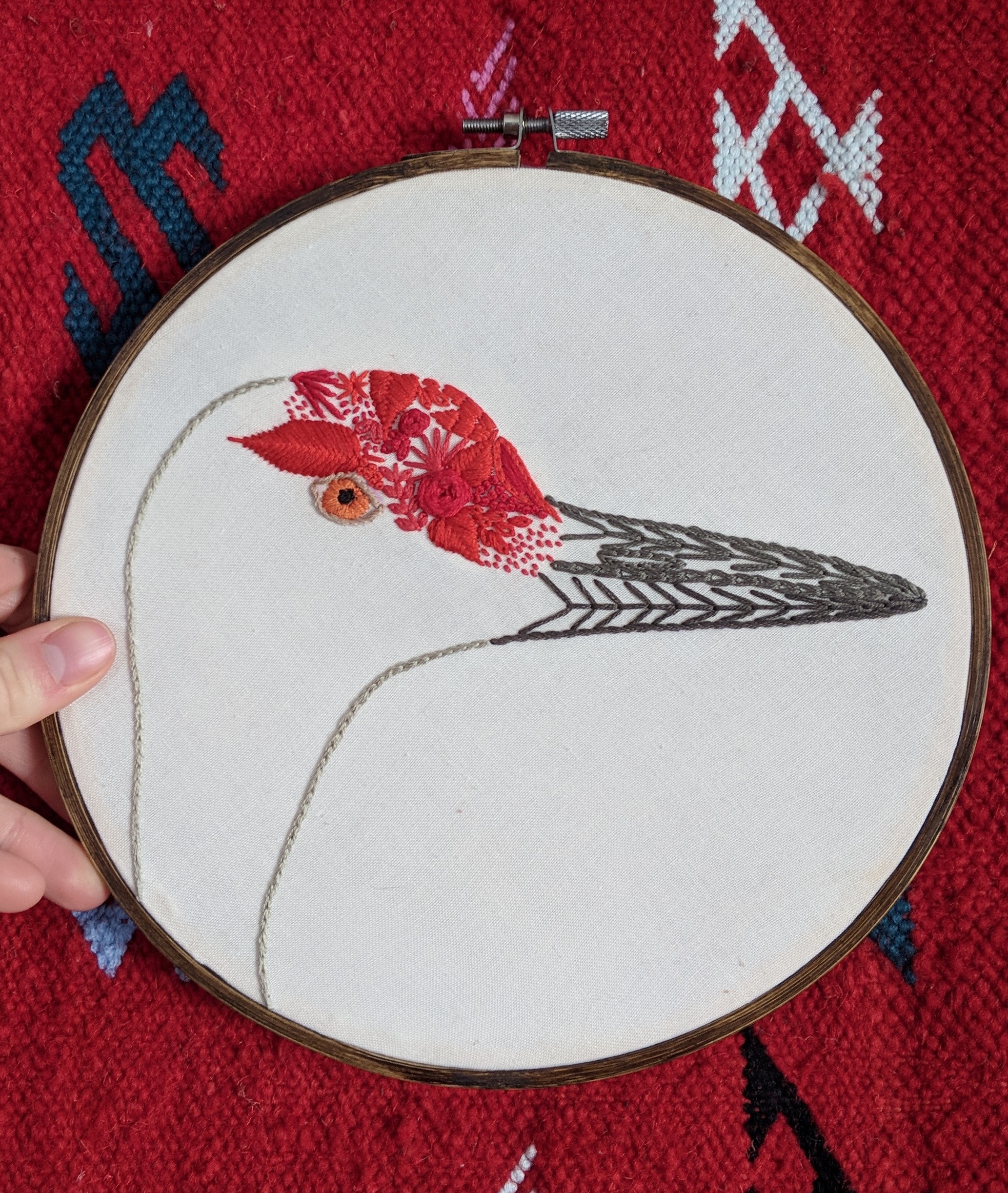 Sandhill crane, Antigone canadensis
