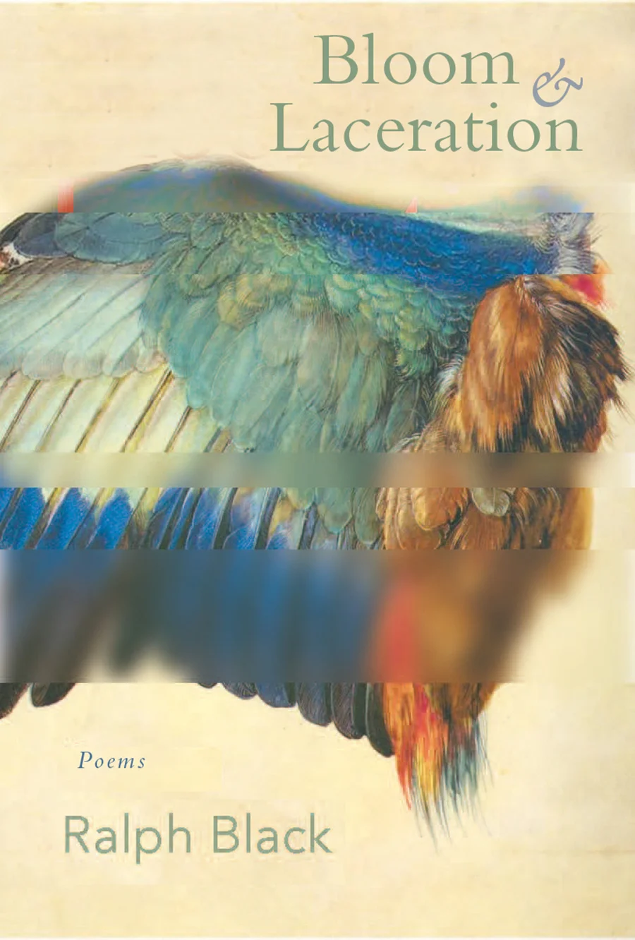 Ralph Black's Bloom and Laceration was the winner of the 2017 Hopper Poetry Prize. It is now available from Green Writers Press.