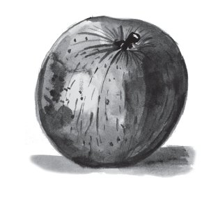 Illustrations by Sam Masler