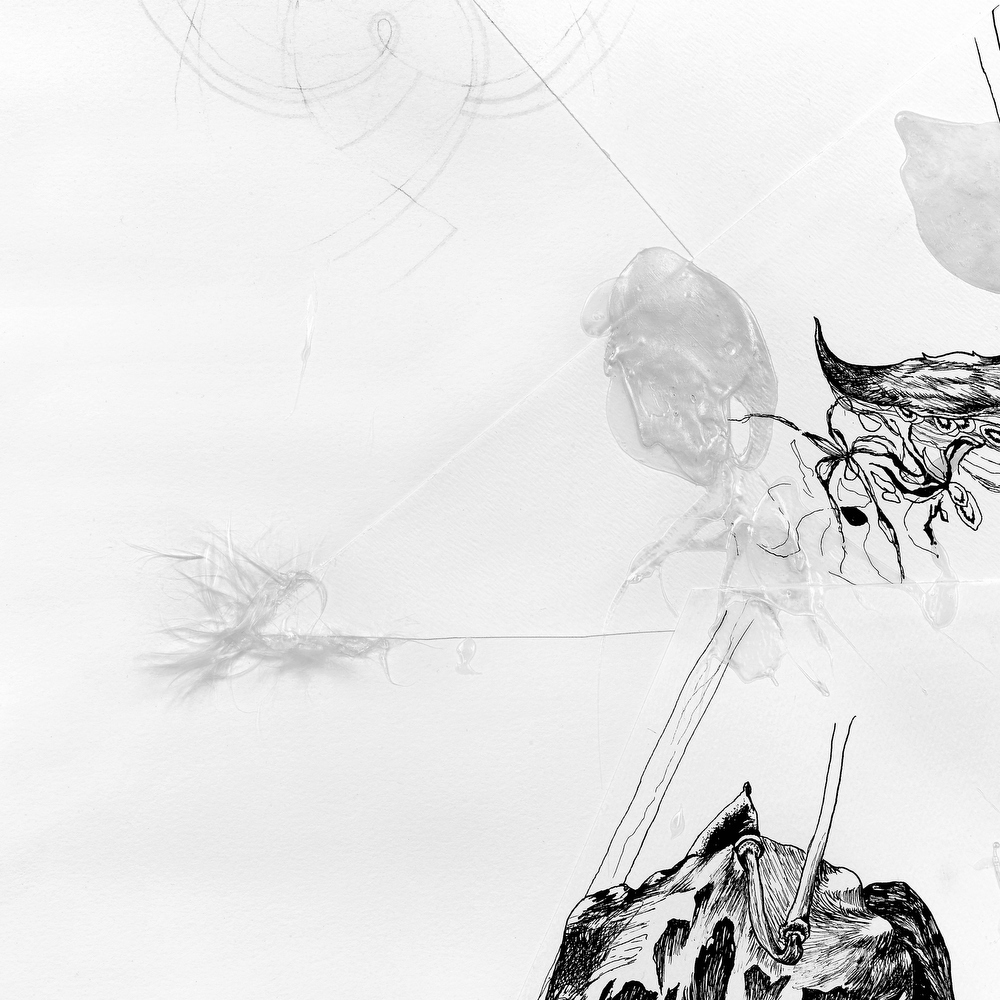 Wishing Life | MEGHAN RIGALI Pen and ink, pencil, gel medium, acrylic, and silk of the milkweed pod, 3 x 4 ft., 2005