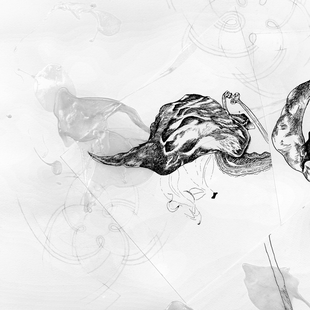 Wishing Life | MEGHAN RIGALI Pen and ink, pencil, gel medium, acrylic, and silk of the milkweed pod, 3 x 4 ft., 2005
