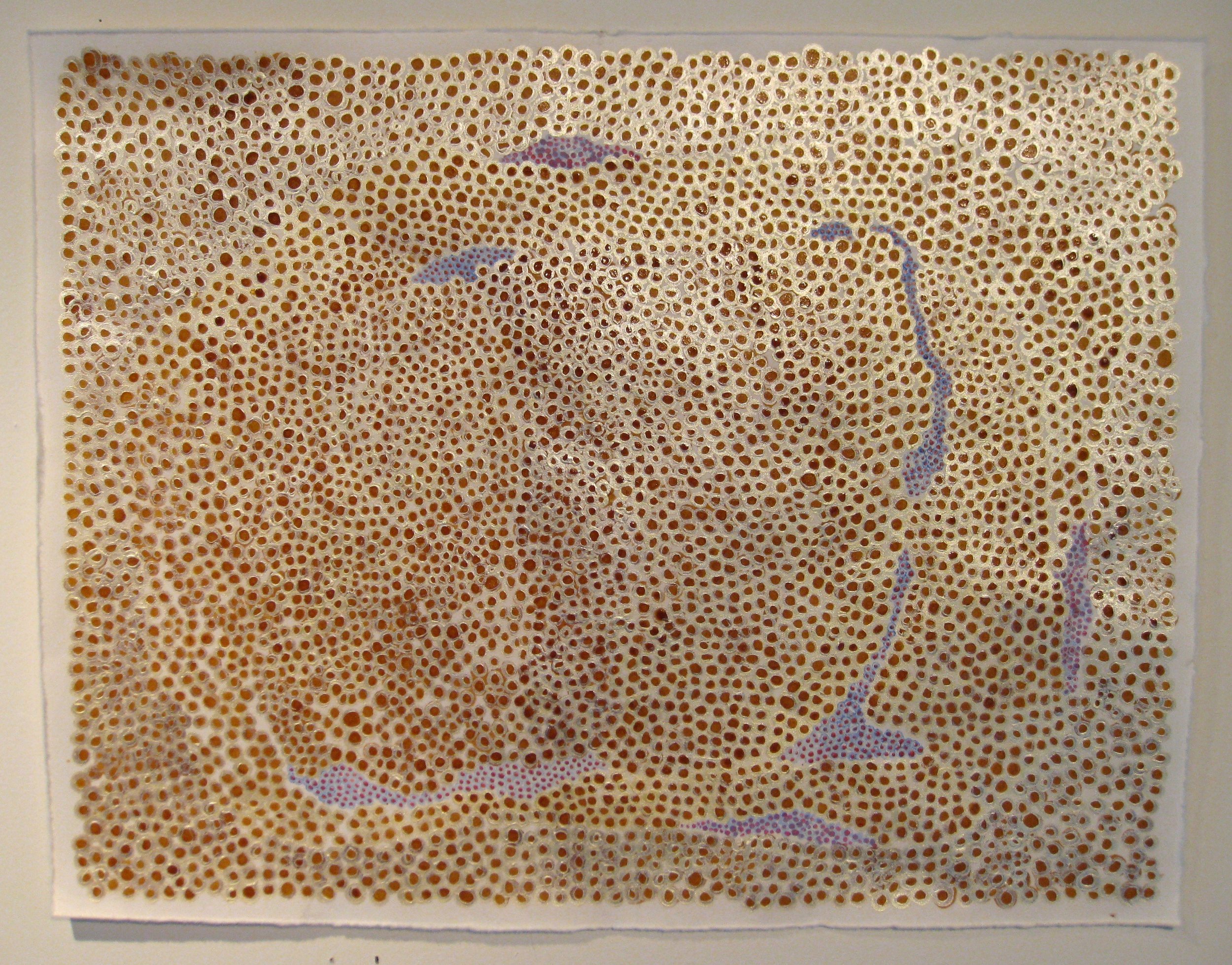 Puddling Amber , 22 x 36 in., amber varnish, acrylic, and thread on paper.