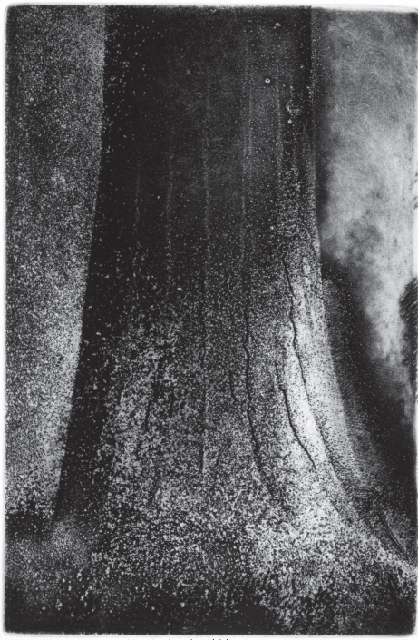Tree Trunk IV (Douglas Fir) Etching, 9 x 6 in., 2015