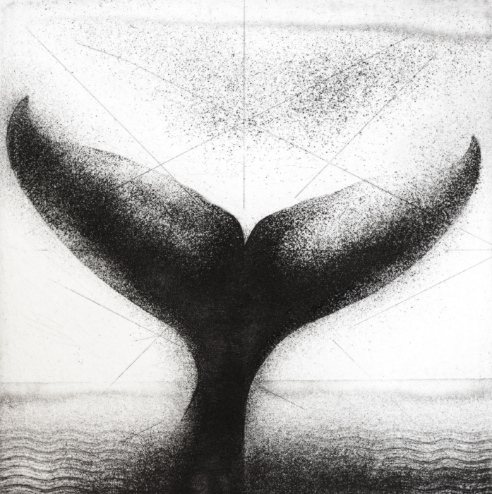 Whale | BRIAN D. COHEN Etching, 5 x 5 in., 2016