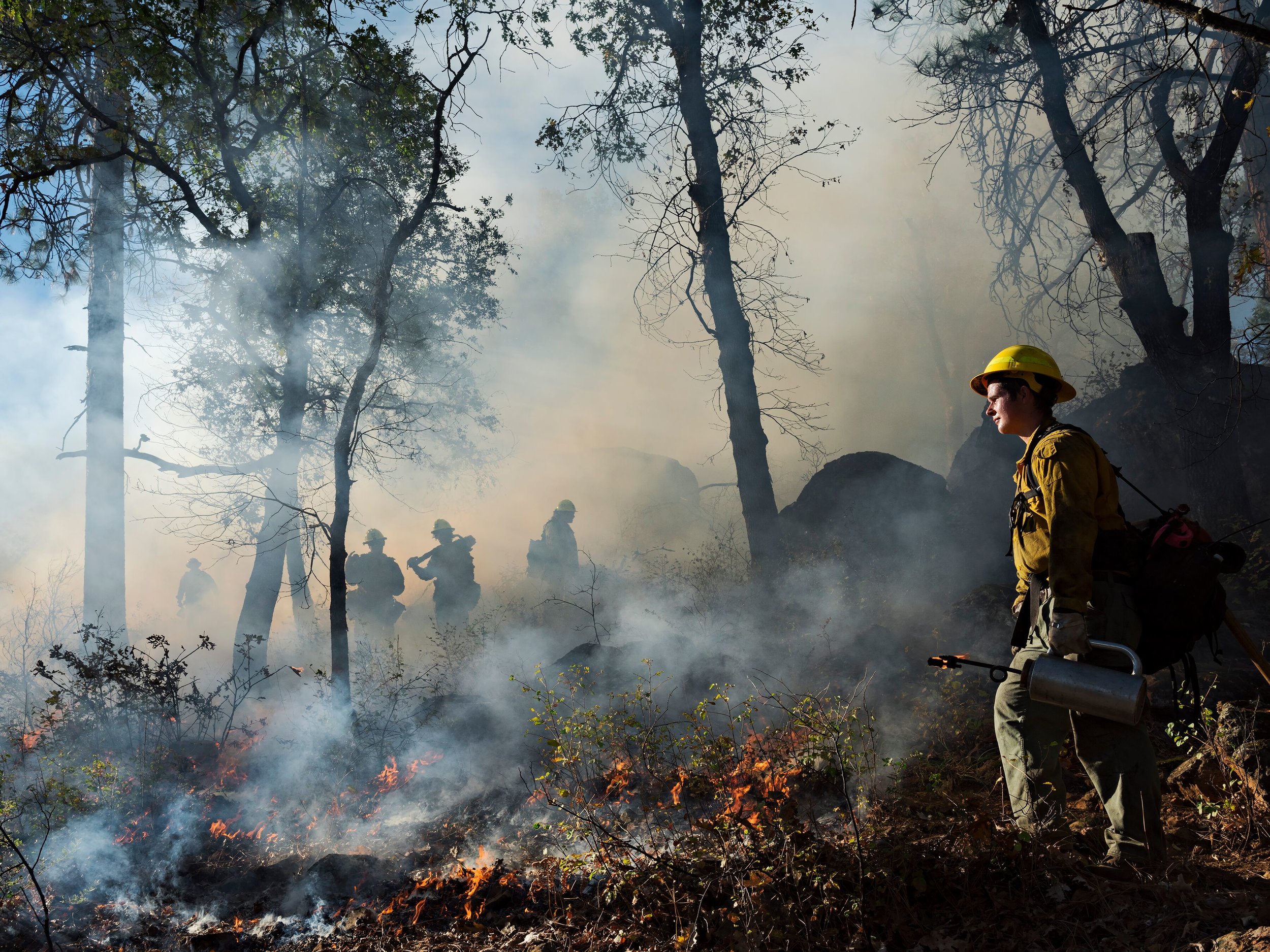 Jason Igniting a Controlled Burn, US Forest Service, California 2015 In the United States each year, more than 73,000 wildfires burn approximately 7 million acres of land. The number has been rising. To prevent wildfires, the US Forest Service performs controlled burns between fire seasons, when the land is wet enough that fires don’t go out of control. The budget for controlled burns is 1 percent of the amount spent fighting wildfires.