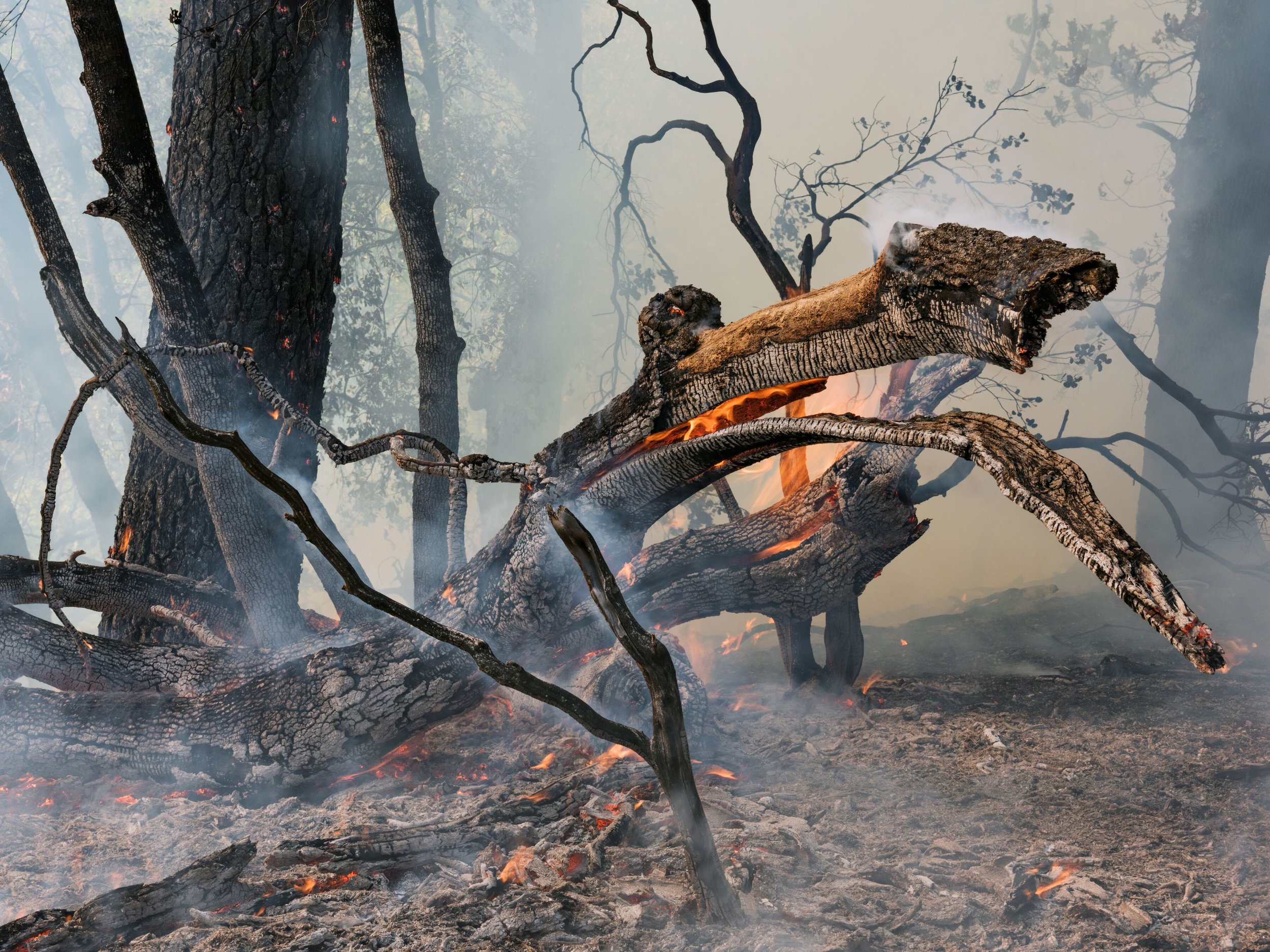 Controlled Burn, California 2015
