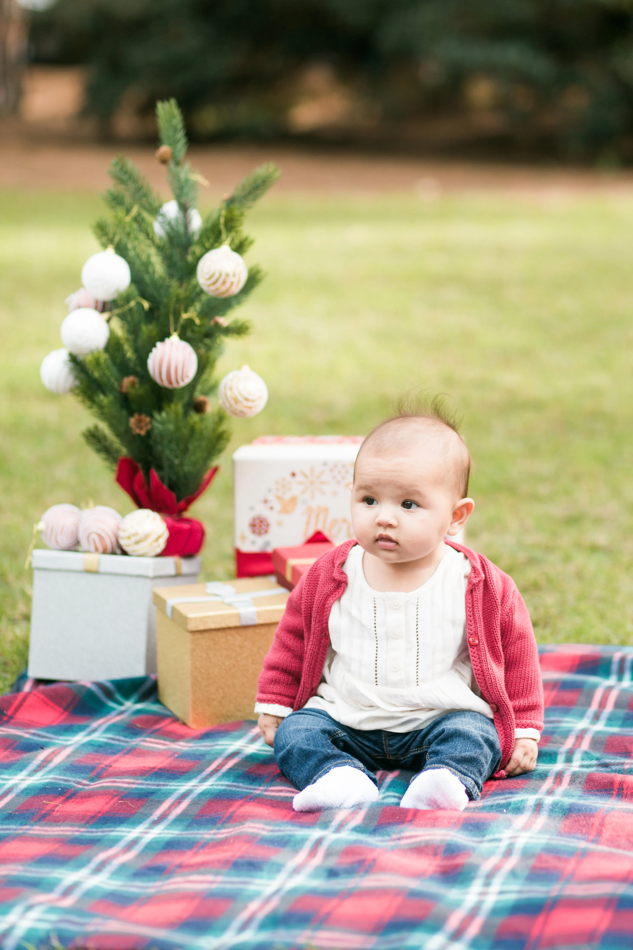 IndraHoliday-24.jpg