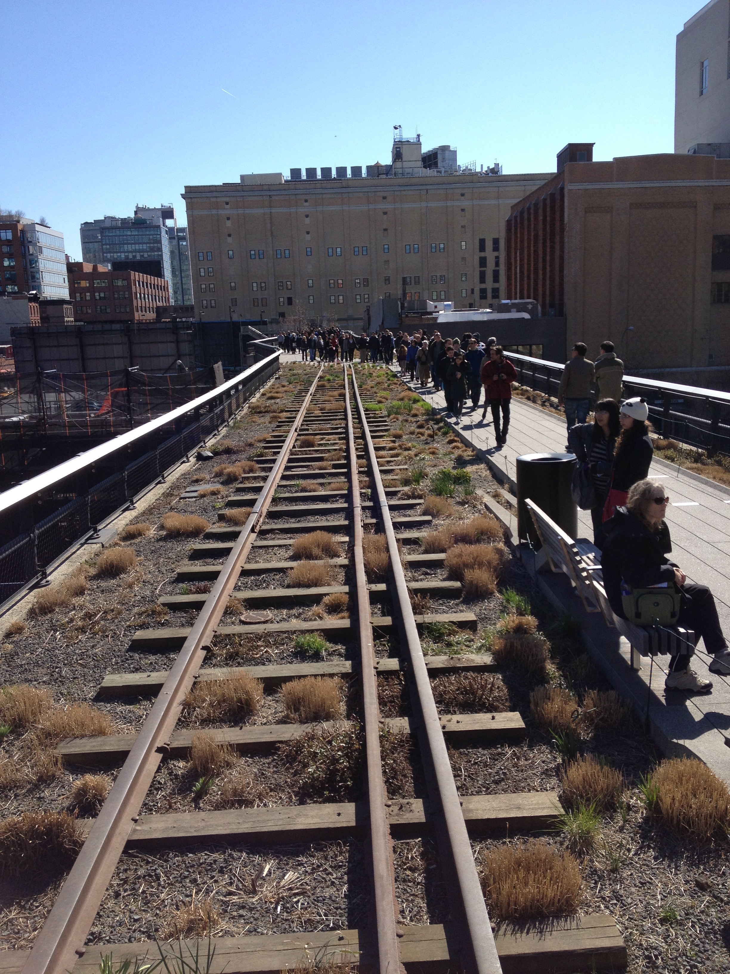 The High Line, New York. Another cell phone image for which I apologize.