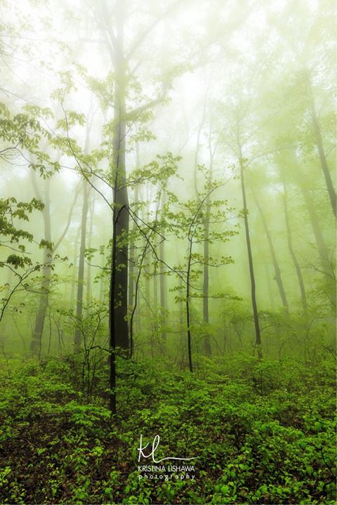 Photo courtesy of Kristina Lishawa