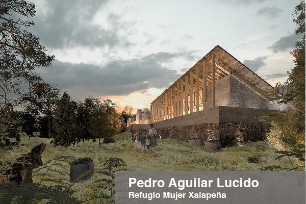 Pedro Aguilar Lucido-Refugio Mujer Xalapeña-01.jpg