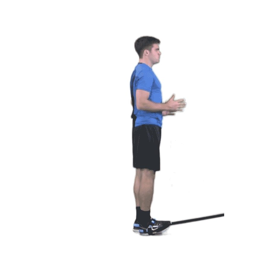 StandingHipExtension (2).gif