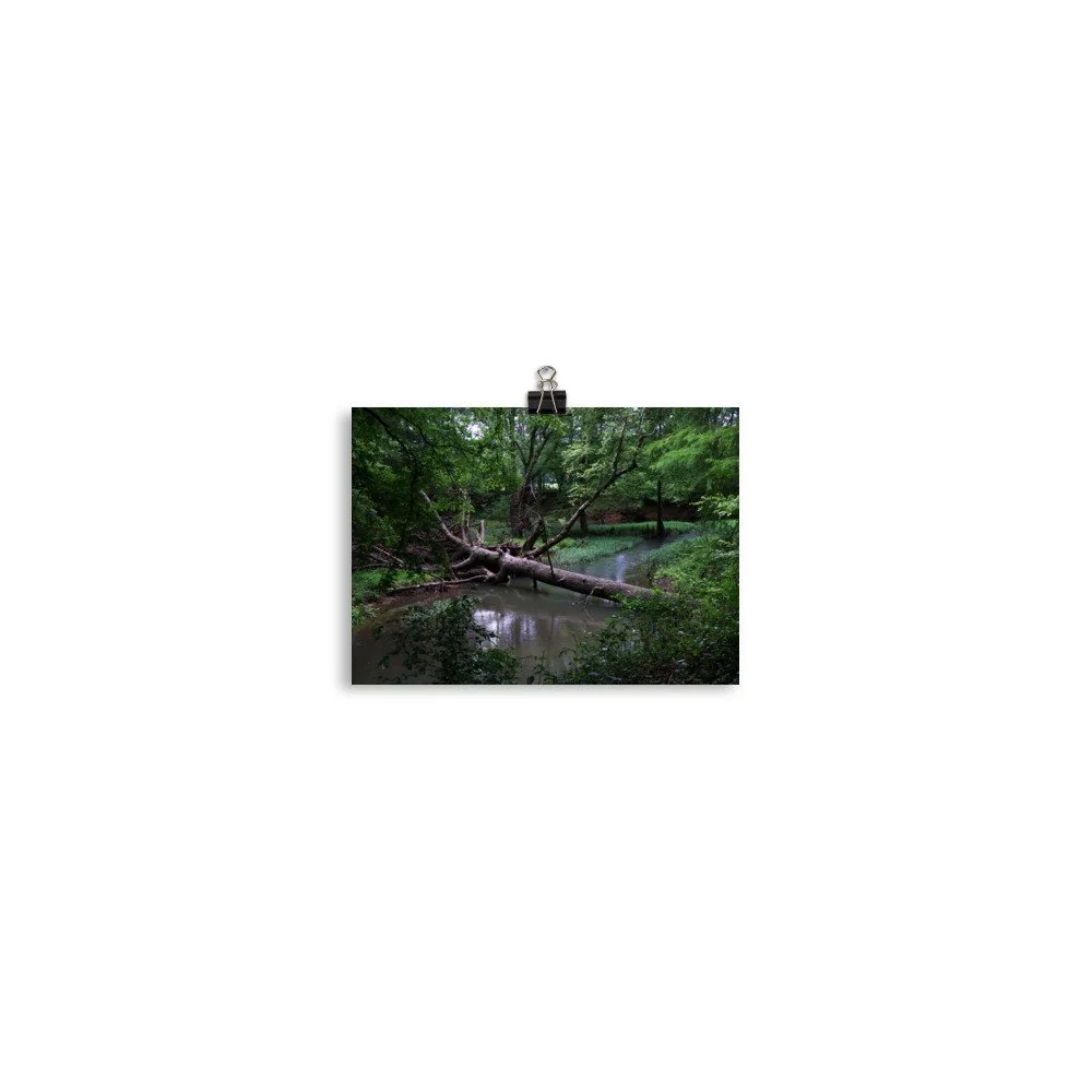 premium-luster-photo-paper-poster-(in)-5x7-transparent-67a40fb687553.jpg