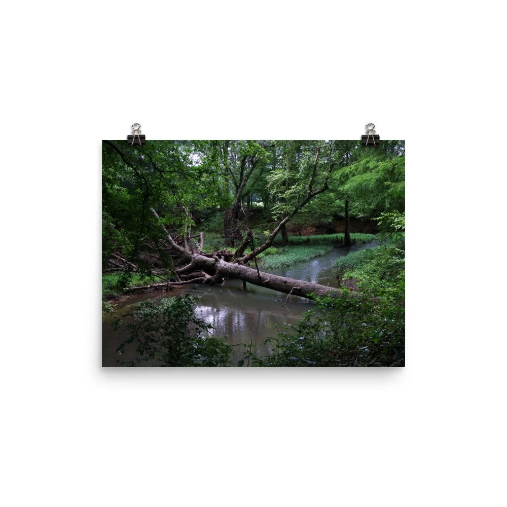 premium-luster-photo-paper-poster-(in)-12x16-transparent-67a40fb687805.jpg