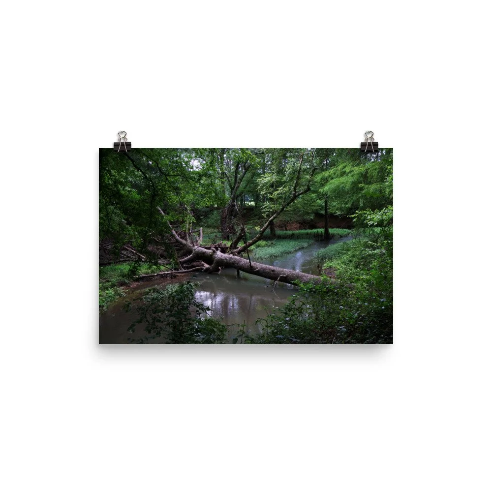 premium-luster-photo-paper-poster-(in)-12x18-transparent-67a40fb6878d2.jpg