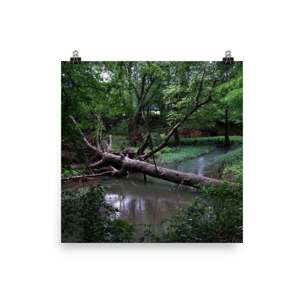premium-luster-photo-paper-poster-(in)-16x16-transparent-67a40fb687b28.jpg