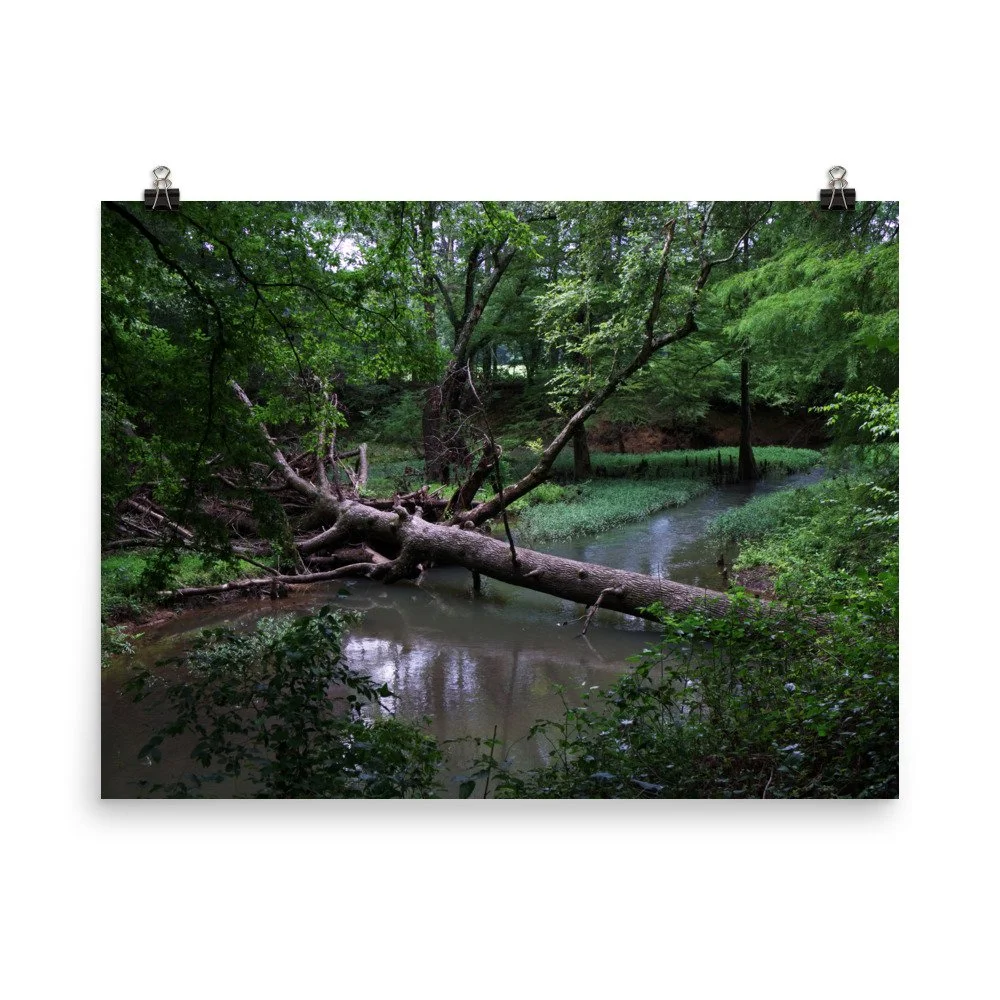 premium-luster-photo-paper-poster-(in)-18x24-transparent-67a40fb687e29.jpg