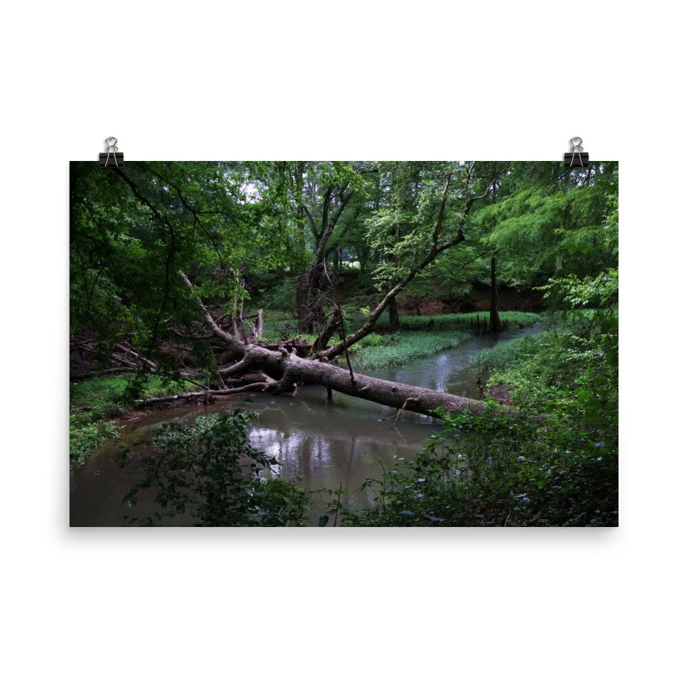 premium-luster-photo-paper-poster-(in)-24x36-transparent-67a40fb687ed8.jpg
