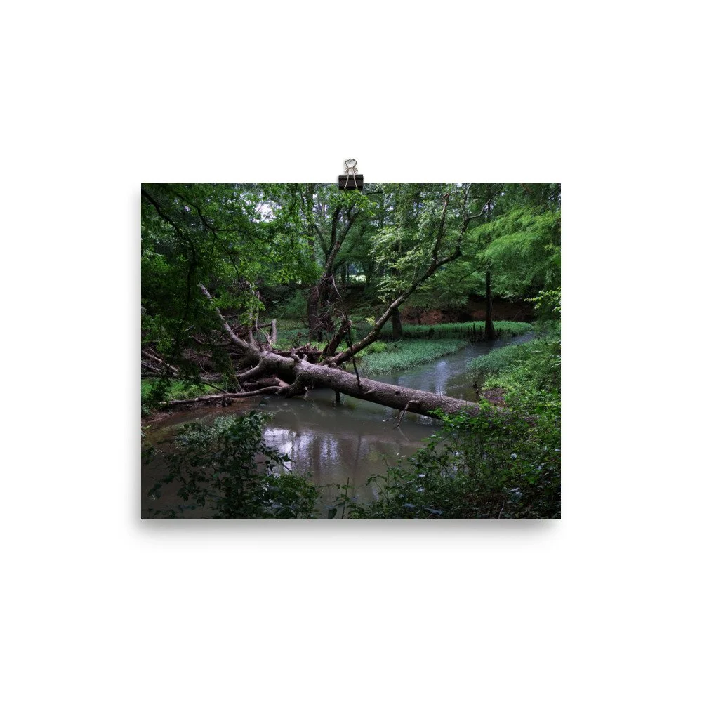 premium-luster-photo-paper-poster-(in)-8x10-transparent-67a40fb687f7f.jpg