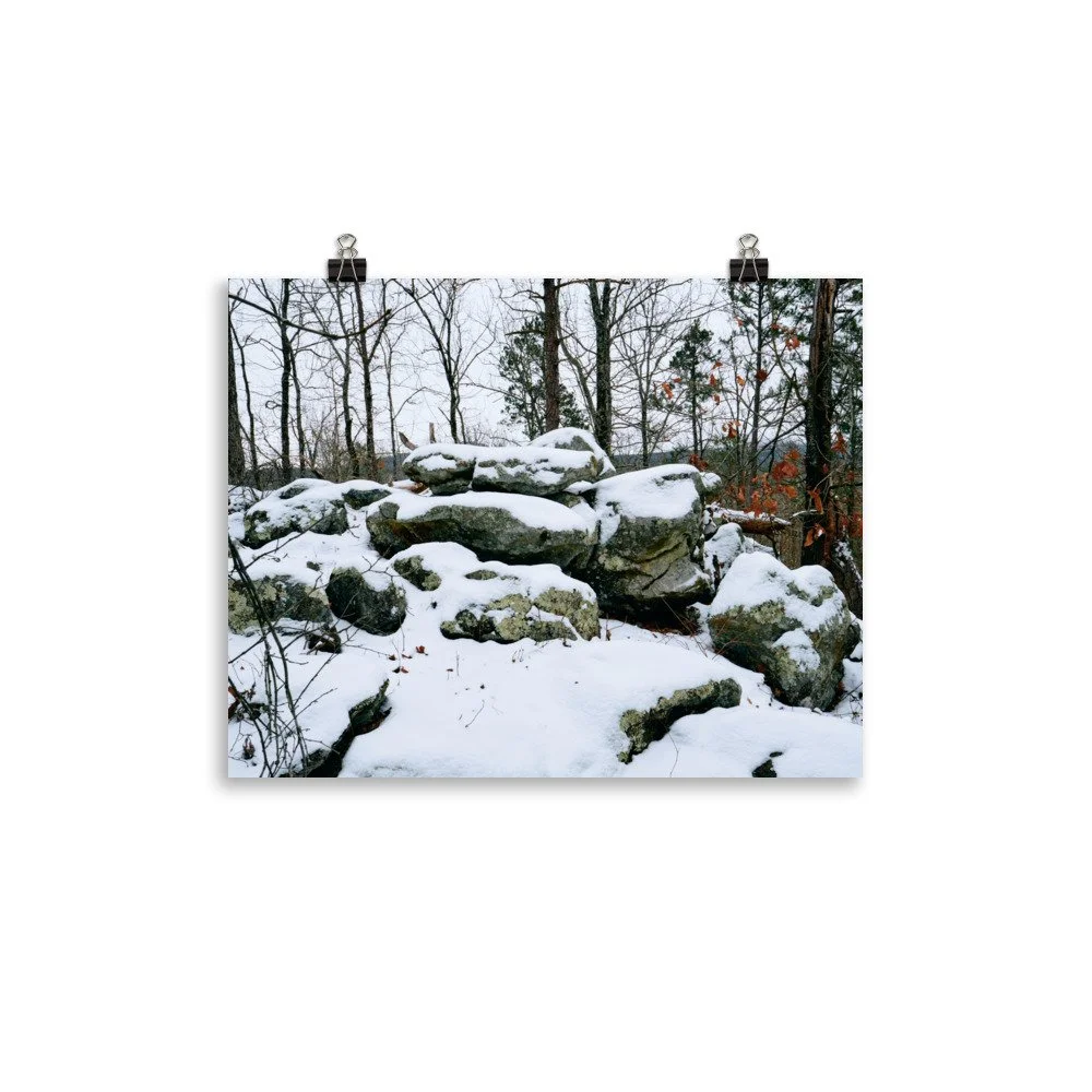 premium-luster-photo-paper-poster-(in)-11x14-transparent-67a416a042d42.jpg