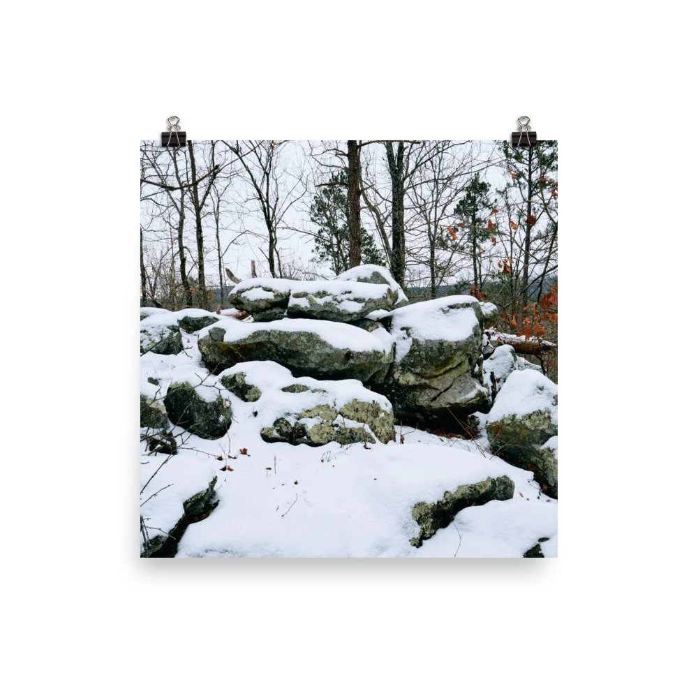 premium-luster-photo-paper-poster-(in)-12x12-transparent-67a416a042e66.jpg