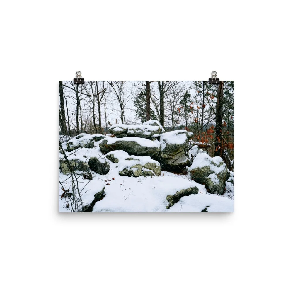 premium-luster-photo-paper-poster-(in)-12x16-transparent-67a416a042f84.jpg