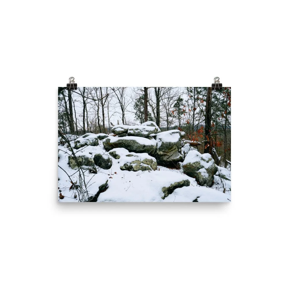 premium-luster-photo-paper-poster-(in)-12x18-transparent-67a416a0430c2.jpg