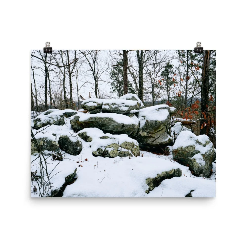 premium-luster-photo-paper-poster-(in)-16x20-transparent-67a416a043317.jpg