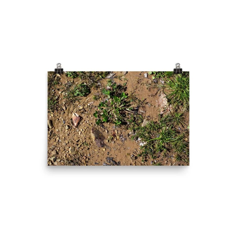 premium-luster-photo-paper-poster-(in)-12x18-transparent-67a4184dd9683.jpg