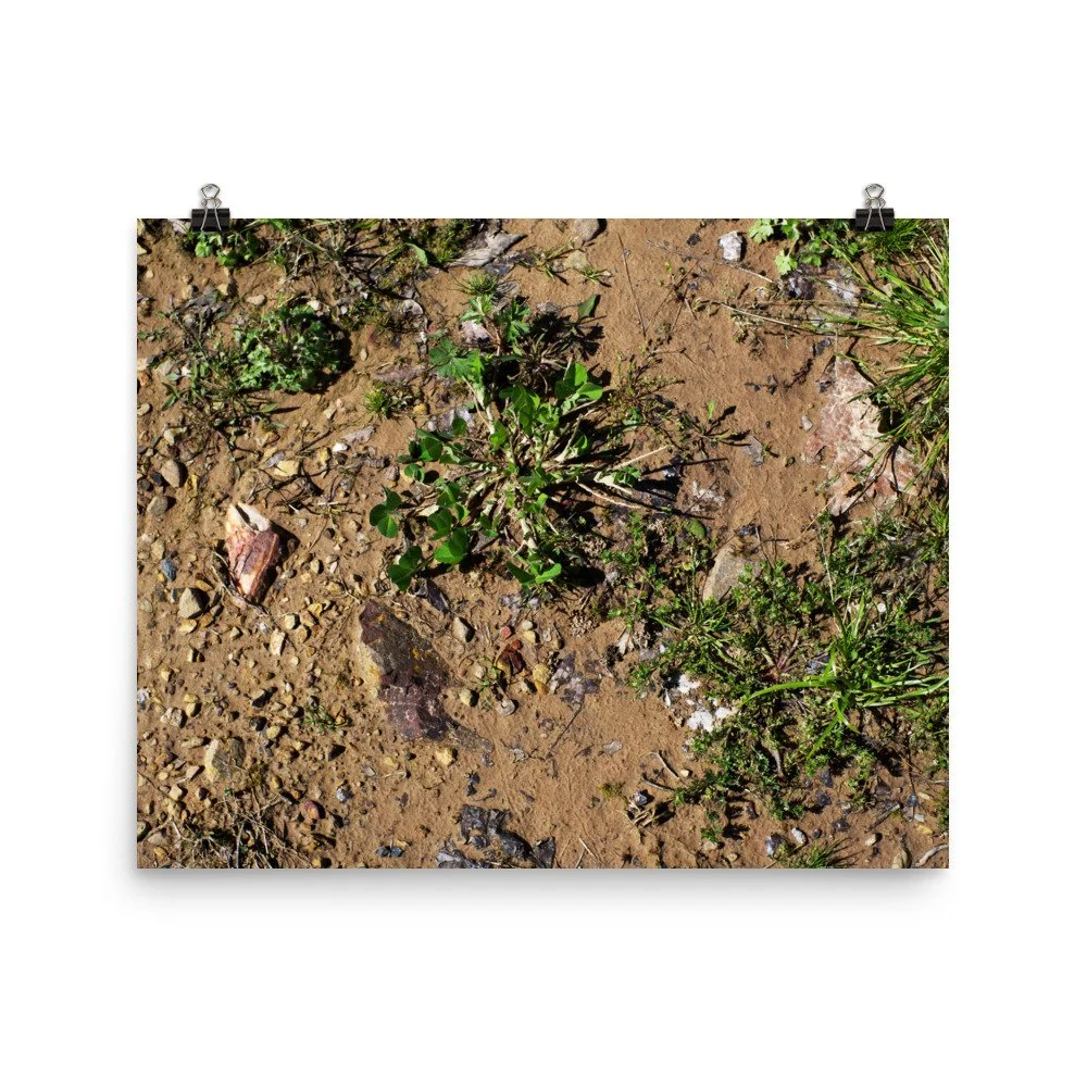 premium-luster-photo-paper-poster-(in)-16x20-transparent-67a4184dd988d.jpg