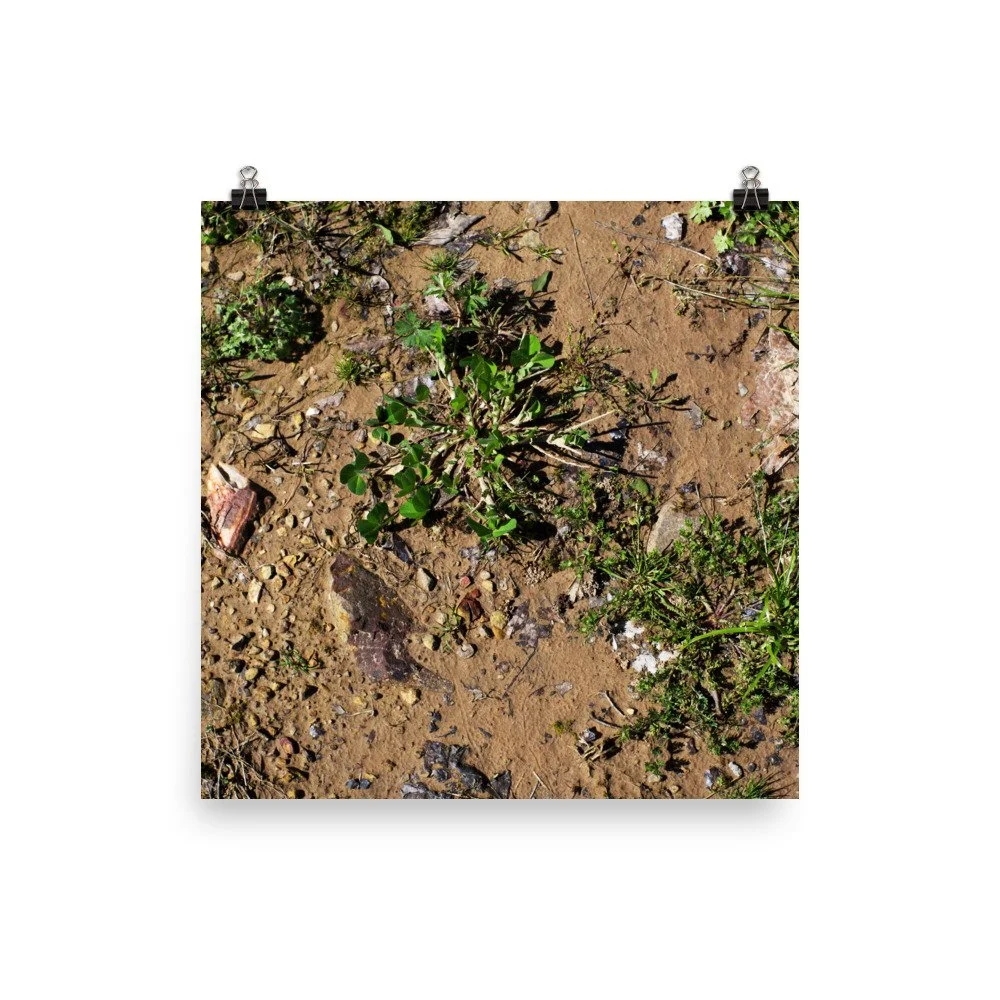 premium-luster-photo-paper-poster-(in)-18x18-transparent-67a4184dd993a.jpg