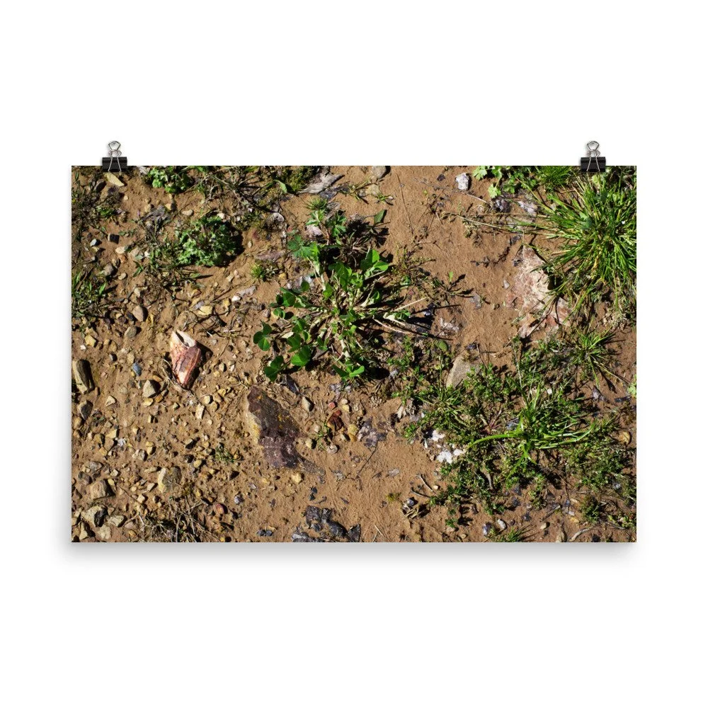 premium-luster-photo-paper-poster-(in)-24x36-transparent-67a4184dd9ab1.jpg