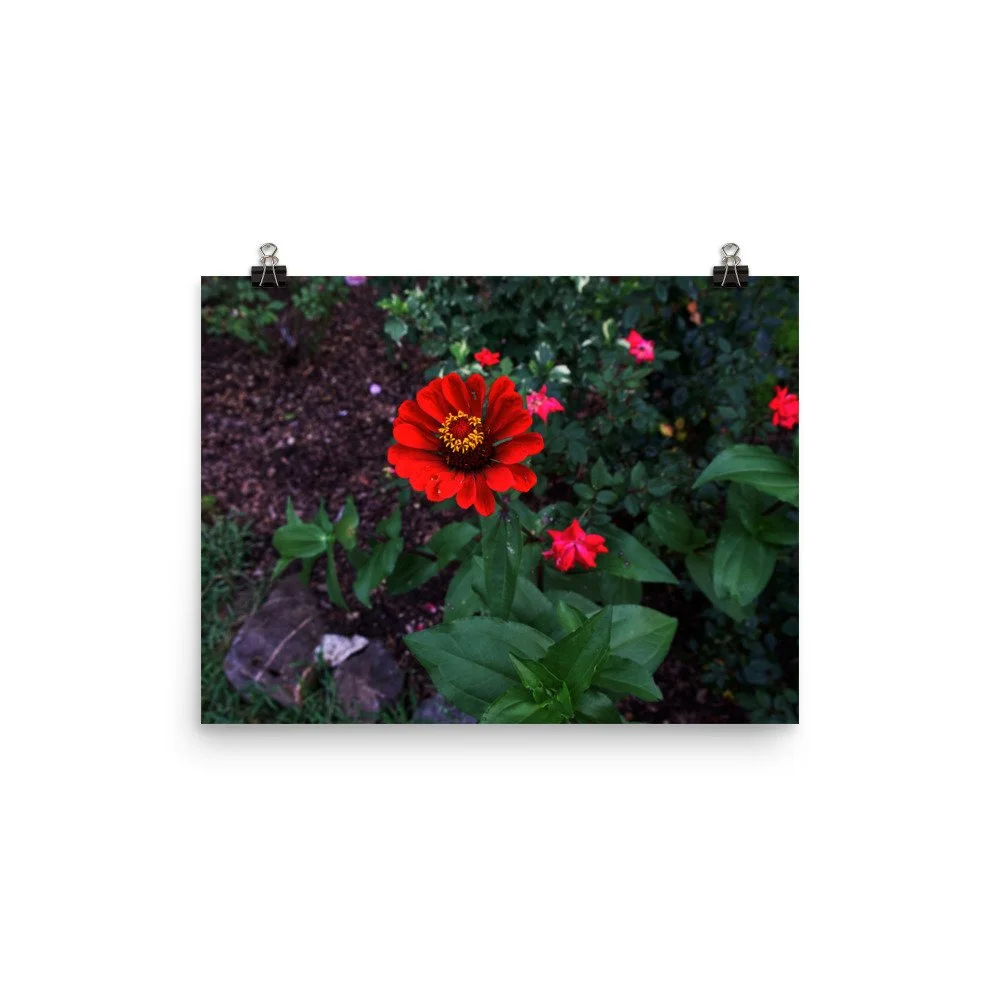 premium-luster-photo-paper-poster-(in)-12x16-transparent-67a419c19f967.jpg